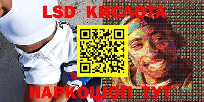 гашик Кулебаки